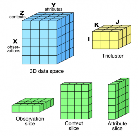 Triclustering algorithms for Three-Way Medical Data Analysis ...